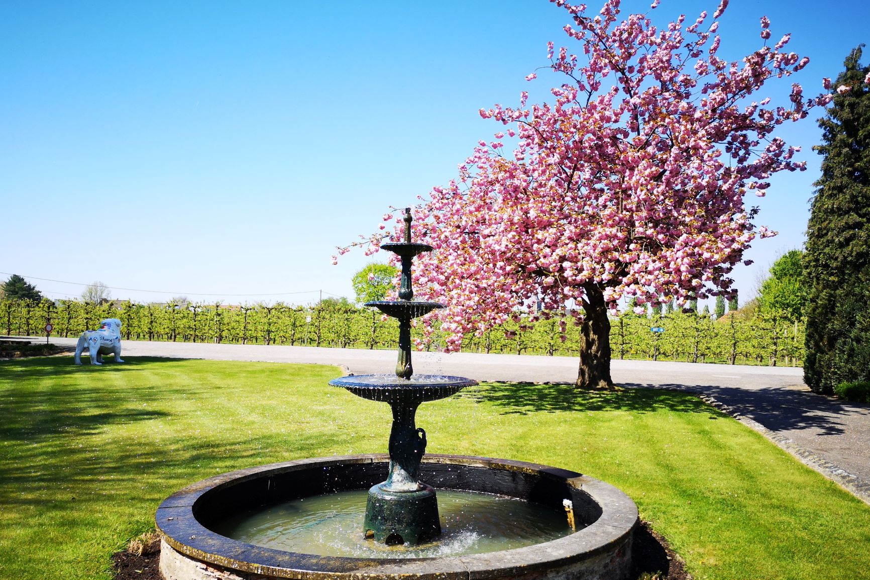 IMG_20190420_134945M