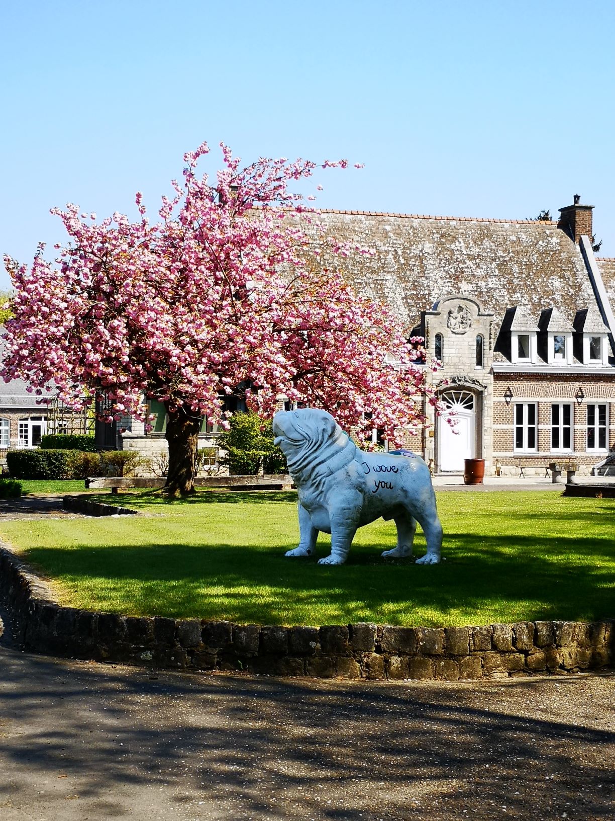 IMG_20190420_135410M