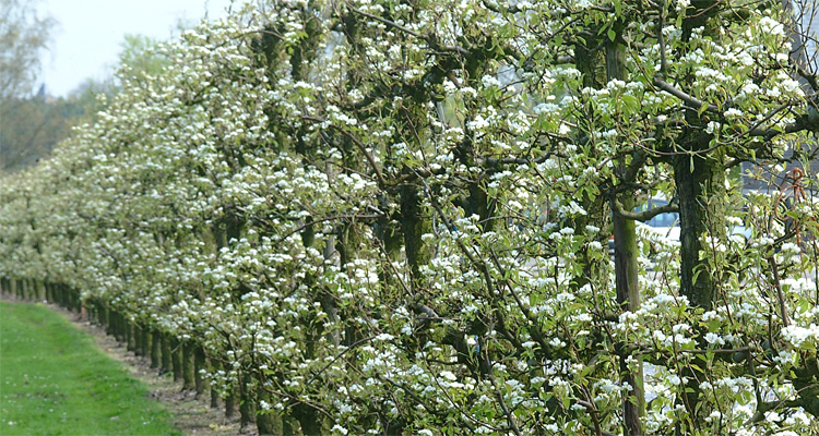 feestzaal-het-posthof-in-vissenaken_DSCF1347