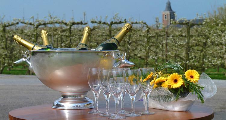 feestzaal-het-posthof-in-vissenaken_DSCF1375