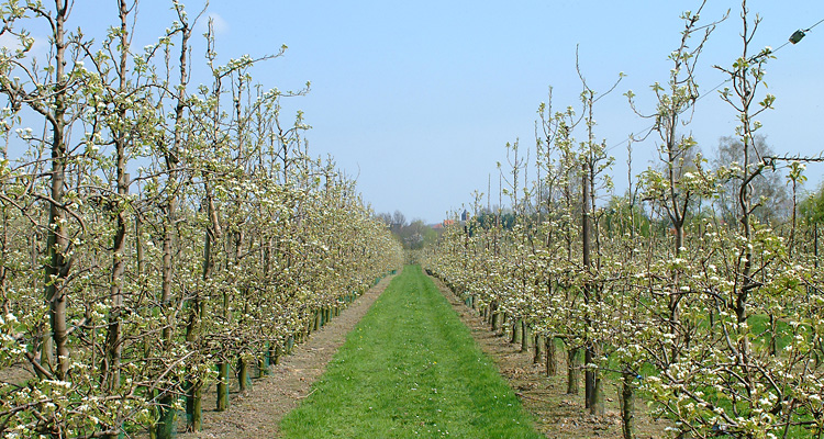 feestzaal-het-posthof-in-vissenaken_DSCF1403