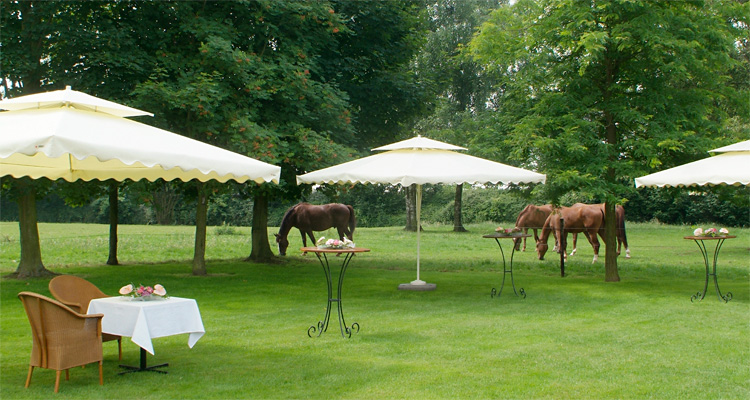 feestzaal-het-posthof-in-vissenaken_DSF0263