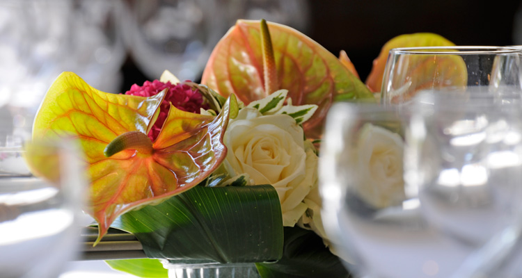 feestzaal-het-posthof-in-vissenaken_DSC4501